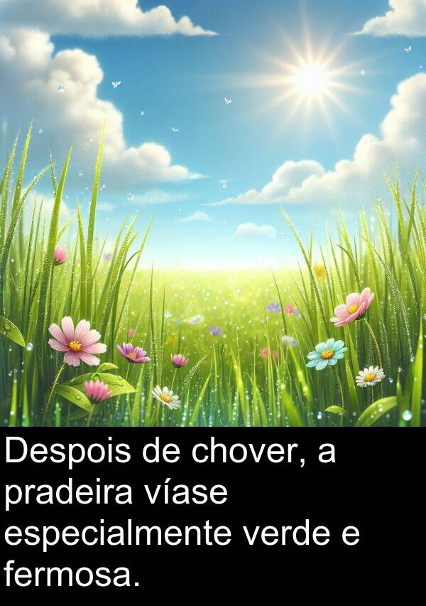 especialmente: Despois de chover, a pradeira víase especialmente verde e fermosa.