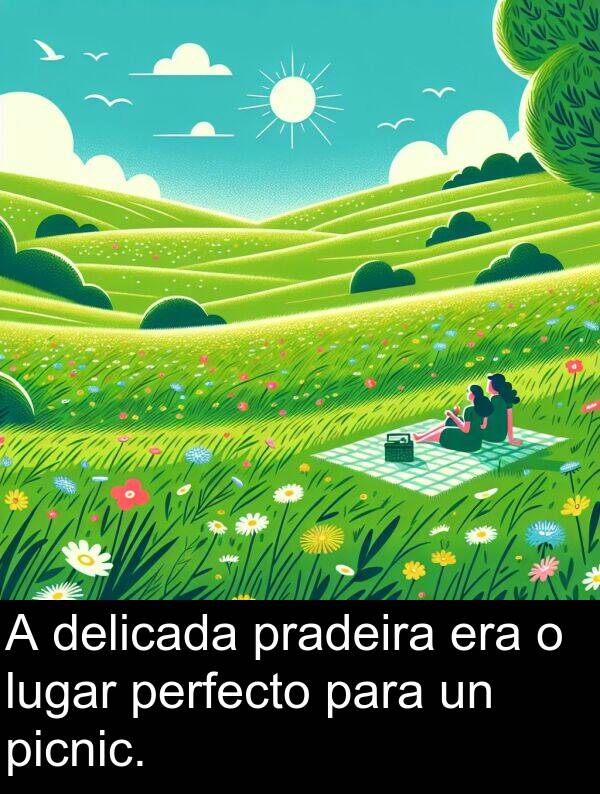 perfecto: A delicada pradeira era o lugar perfecto para un picnic.