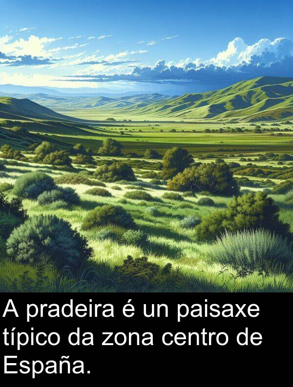 típico: A pradeira é un paisaxe típico da zona centro de España.