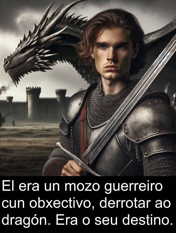 destino: El era un mozo guerreiro cun obxectivo, derrotar ao dragón. Era o seu destino.