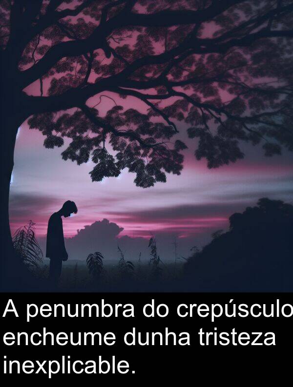 dunha: A penumbra do crepúsculo encheume dunha tristeza inexplicable.
