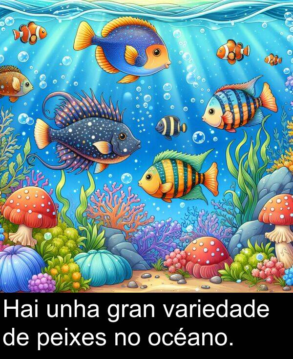 gran: Hai unha gran variedade de peixes no océano.