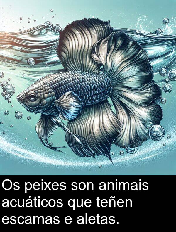 escamas: Os peixes son animais acuáticos que teñen escamas e aletas.