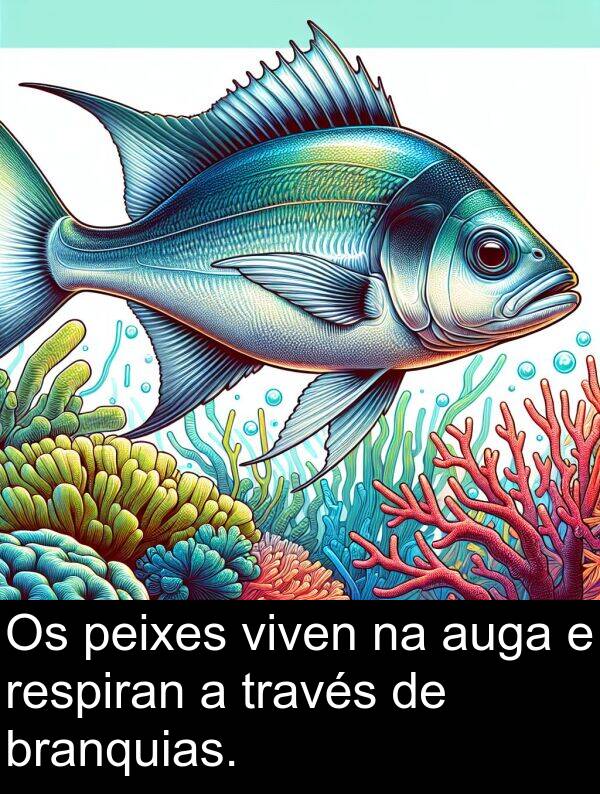 respiran: Os peixes viven na auga e respiran a través de branquias.