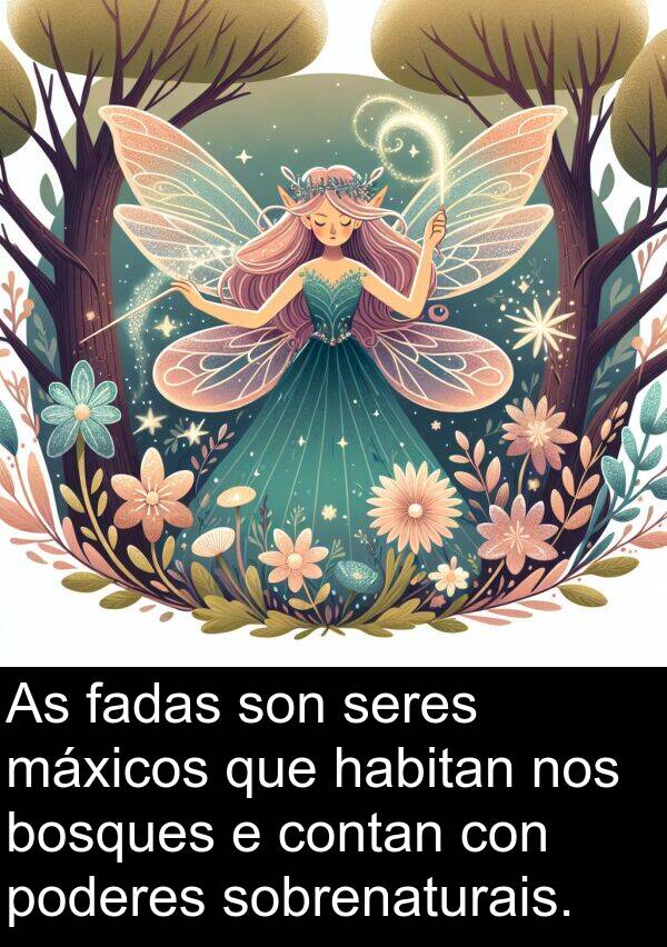 seres: As fadas son seres máxicos que habitan nos bosques e contan con poderes sobrenaturais.