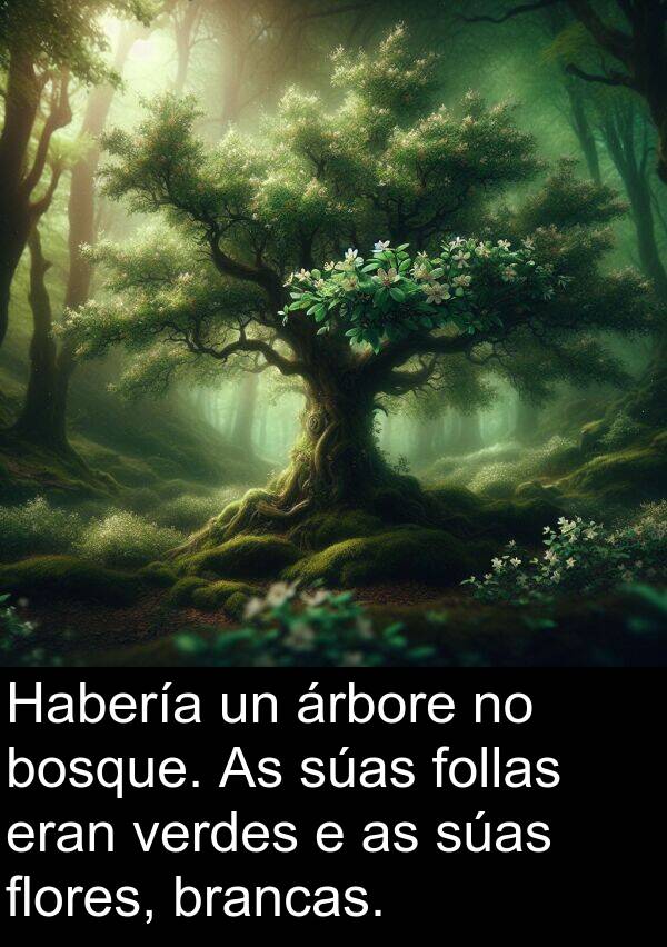 brancas: Habería un árbore no bosque. As súas follas eran verdes e as súas flores, brancas.