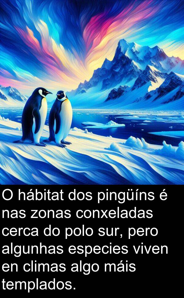 pingüíns: O hábitat dos pingüíns é nas zonas conxeladas cerca do polo sur, pero algunhas especies viven en climas algo máis templados.
