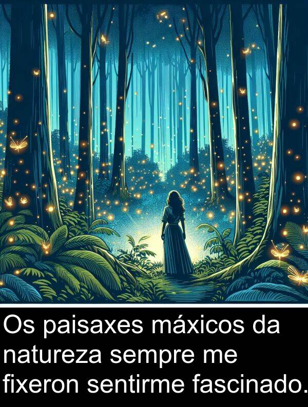 máxicos: Os paisaxes máxicos da natureza sempre me fixeron sentirme fascinado.