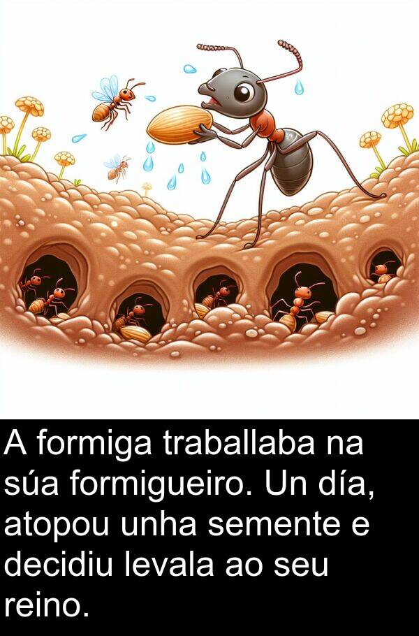 reino: A formiga traballaba na súa formigueiro. Un día, atopou unha semente e decidiu levala ao seu reino.
