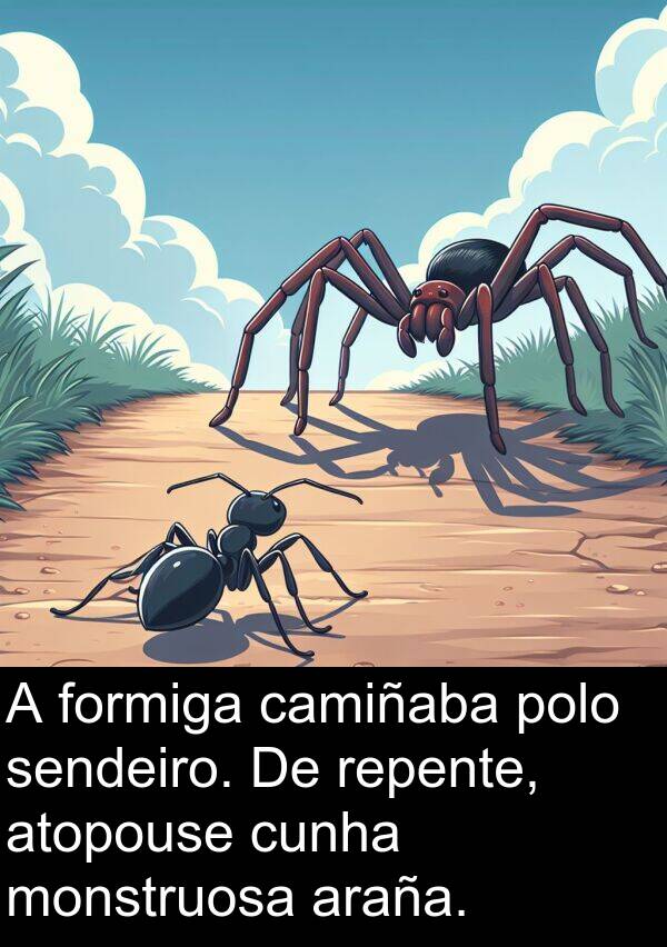 repente: A formiga camiñaba polo sendeiro. De repente, atopouse cunha monstruosa araña.