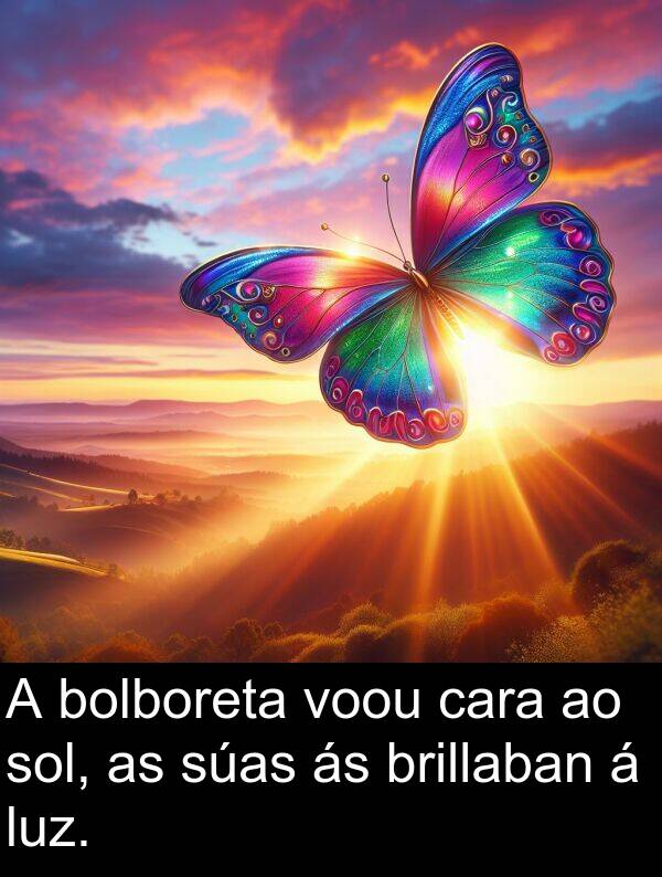 brillaban: A bolboreta voou cara ao sol, as súas ás brillaban á luz.