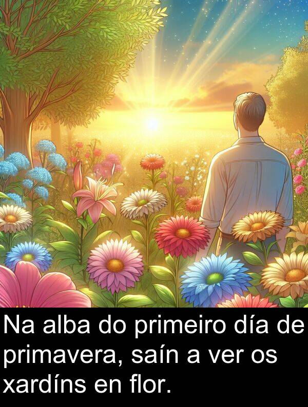 flor: Na alba do primeiro día de primavera, saín a ver os xardíns en flor.