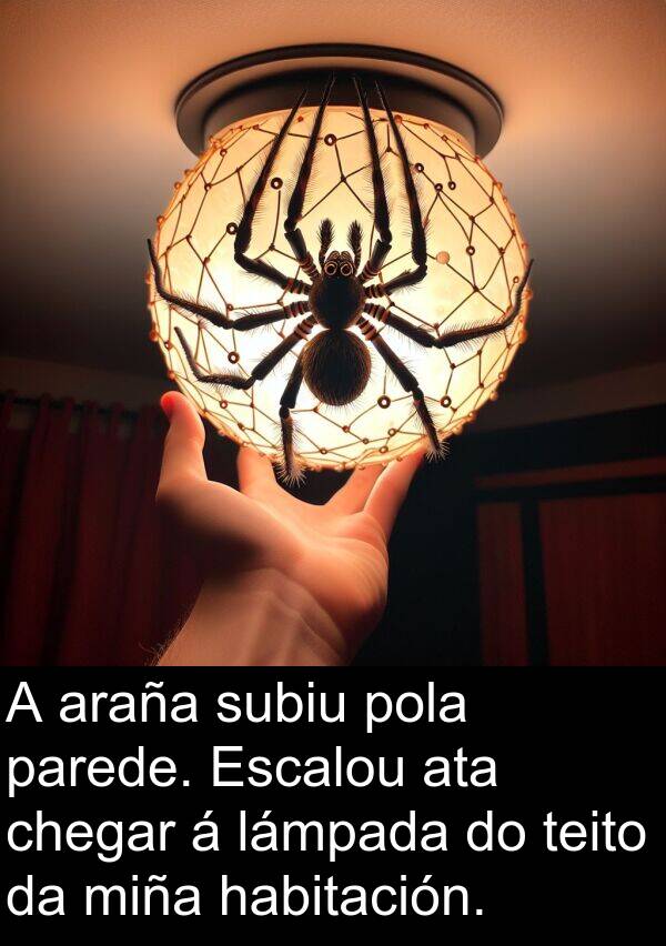 parede: A araña subiu pola parede. Escalou ata chegar á lámpada do teito da miña habitación.