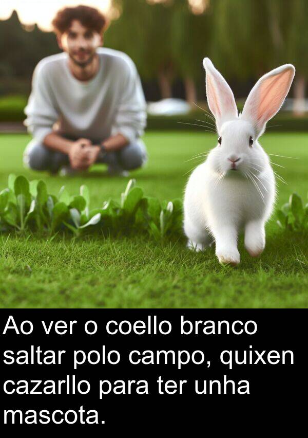 ter: Ao ver o coello branco saltar polo campo, quixen cazarllo para ter unha mascota.