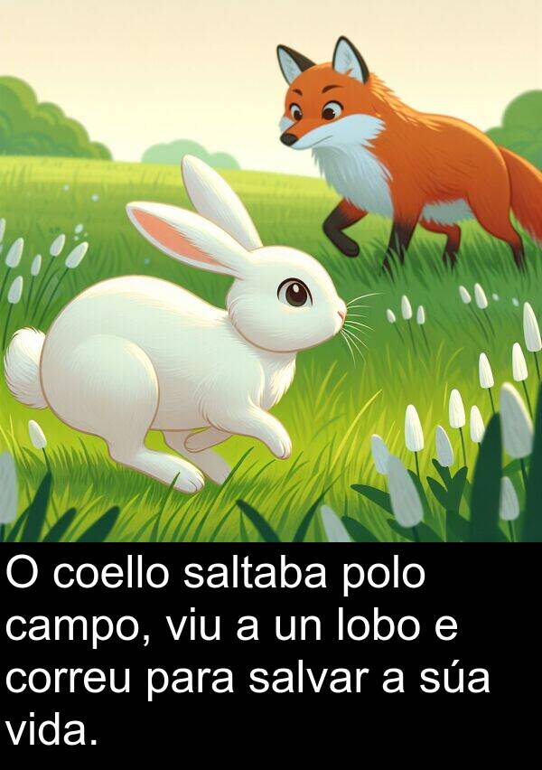 campo: O coello saltaba polo campo, viu a un lobo e correu para salvar a súa vida.