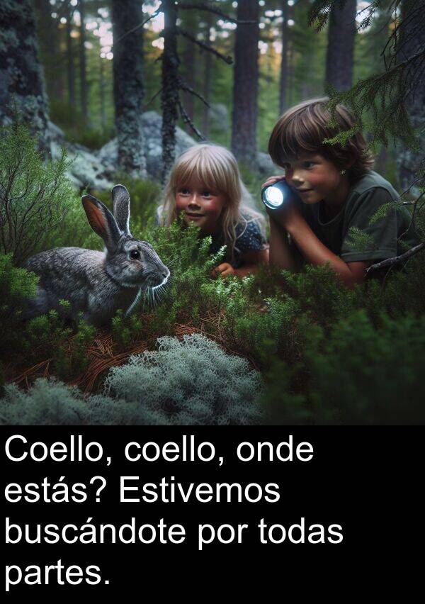estás: Coello, coello, onde estás? Estivemos buscándote por todas partes.