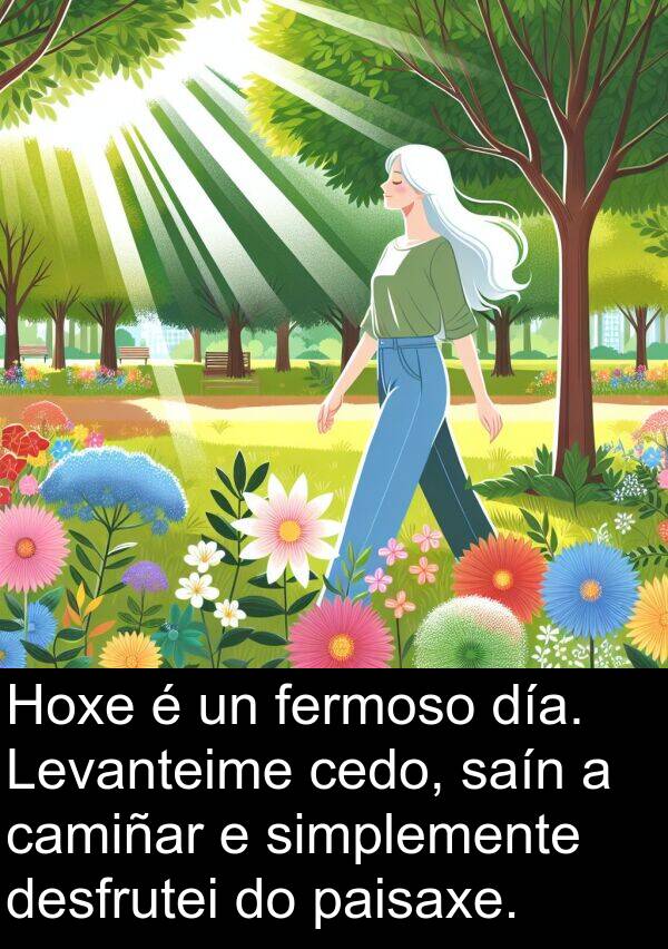 paisaxe: Hoxe é un fermoso día. Levanteime cedo, saín a camiñar e simplemente desfrutei do paisaxe.