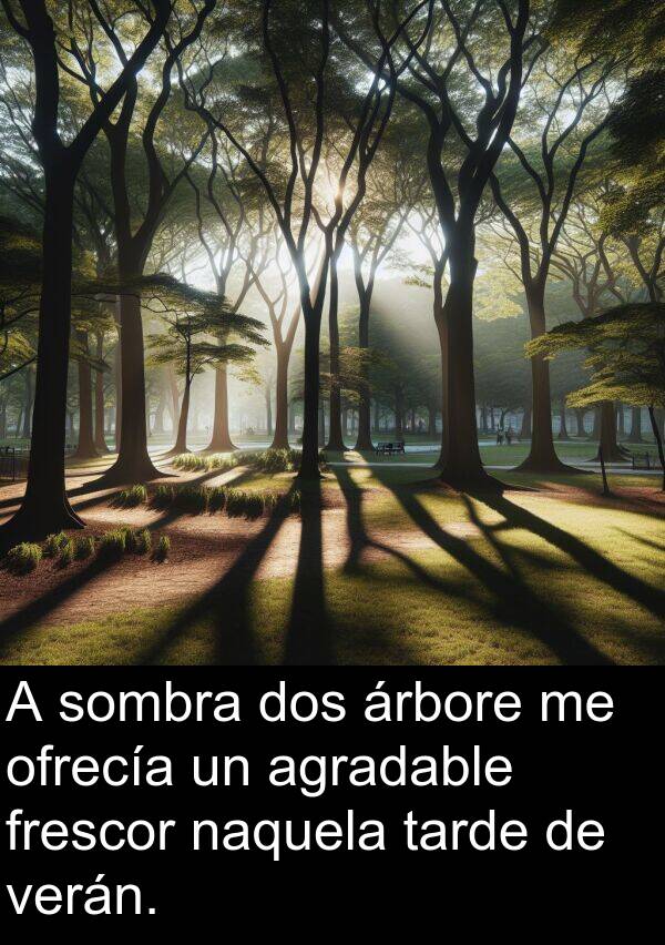 frescor: A sombra dos árbore me ofrecía un agradable frescor naquela tarde de verán.