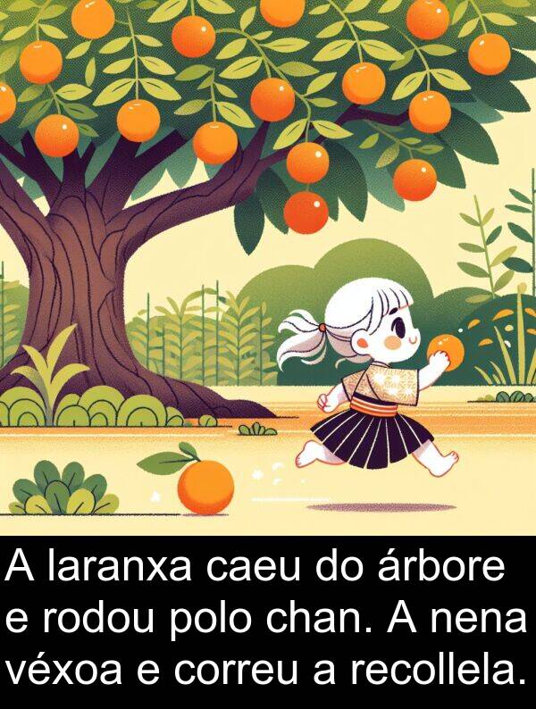 recollela: A laranxa caeu do árbore e rodou polo chan. A nena véxoa e correu a recollela.