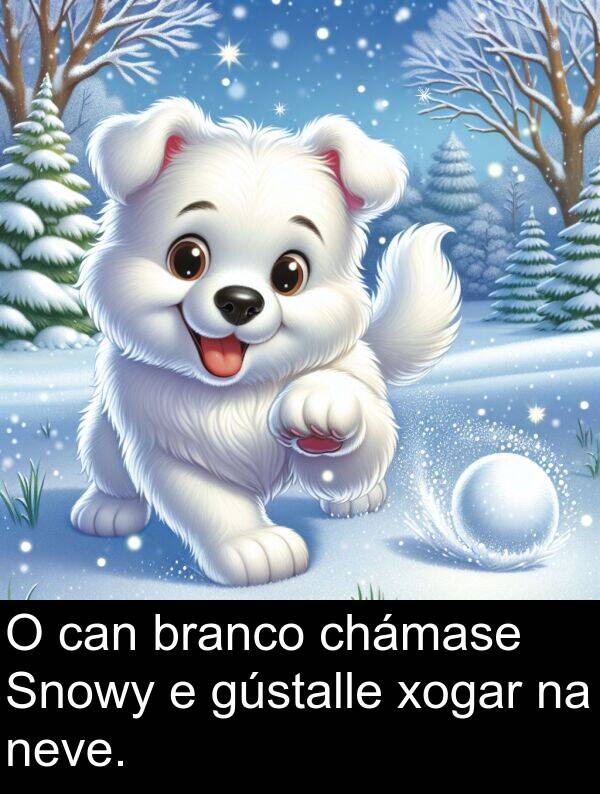 branco: O can branco chámase Snowy e gústalle xogar na neve.