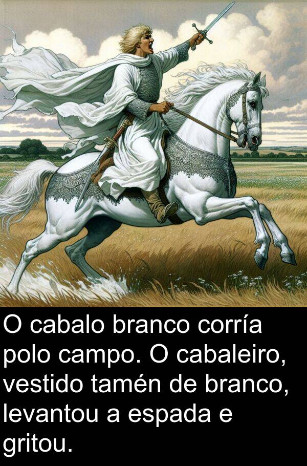 branco: O cabalo branco corría polo campo. O cabaleiro, vestido tamén de branco, levantou a espada e gritou.