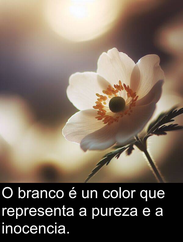 representa: O branco é un color que representa a pureza e a inocencia.