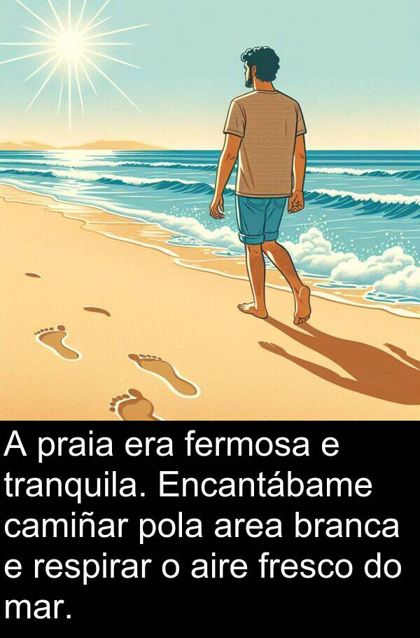 fresco: A praia era fermosa e tranquila. Encantábame camiñar pola area branca e respirar o aire fresco do mar.