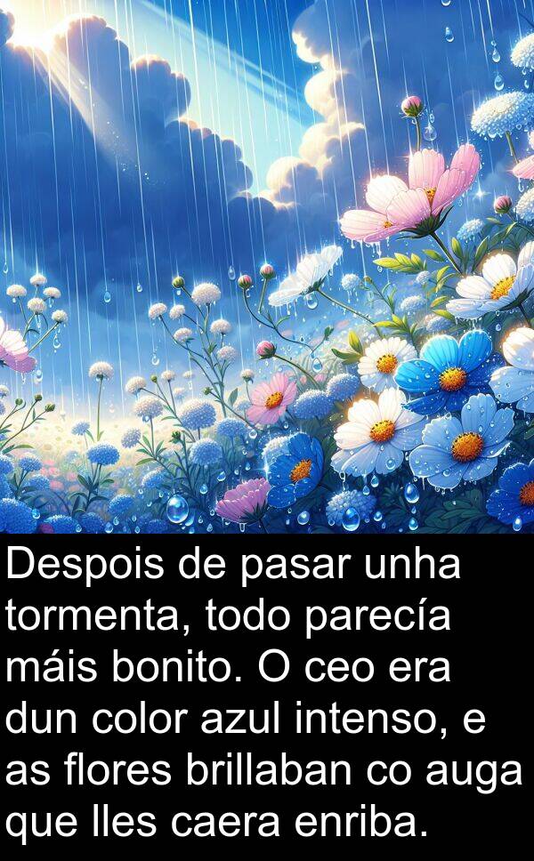 brillaban: Despois de pasar unha tormenta, todo parecía máis bonito. O ceo era dun color azul intenso, e as flores brillaban co auga que lles caera enriba.