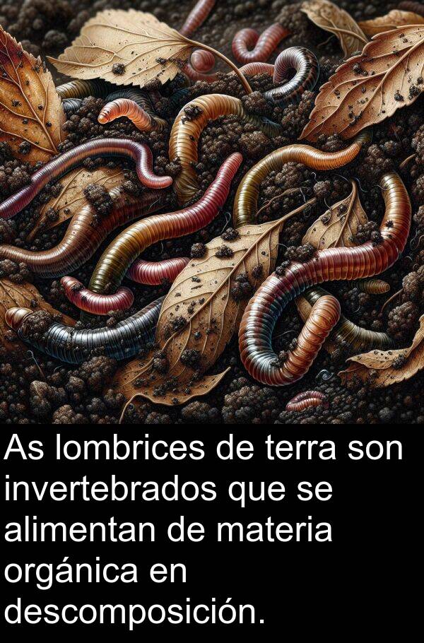 materia: As lombrices de terra son invertebrados que se alimentan de materia orgánica en descomposición.