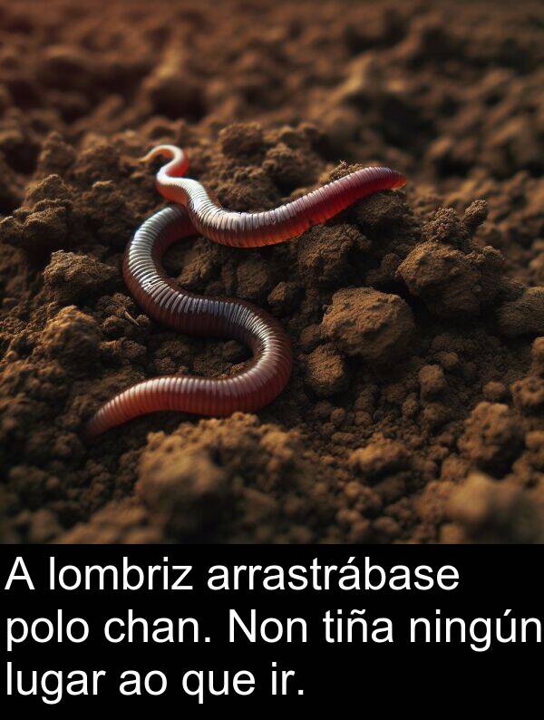 arrastrábase: A lombriz arrastrábase polo chan. Non tiña ningún lugar ao que ir.
