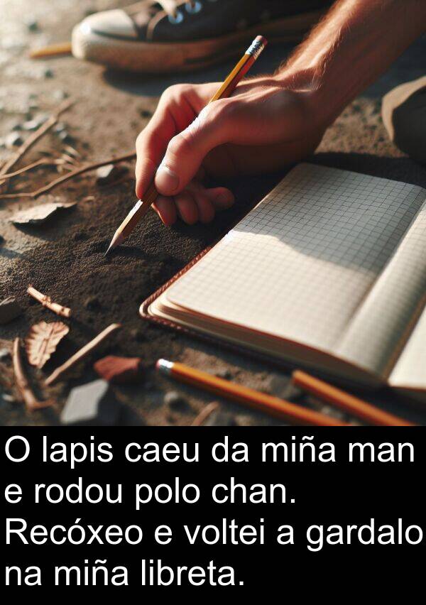 rodou: O lapis caeu da miña man e rodou polo chan. Recóxeo e voltei a gardalo na miña libreta.