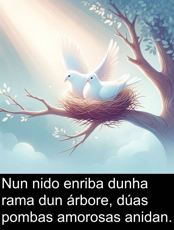 dun: Nun nido enriba dunha rama dun árbore, dúas pombas amorosas anidan.