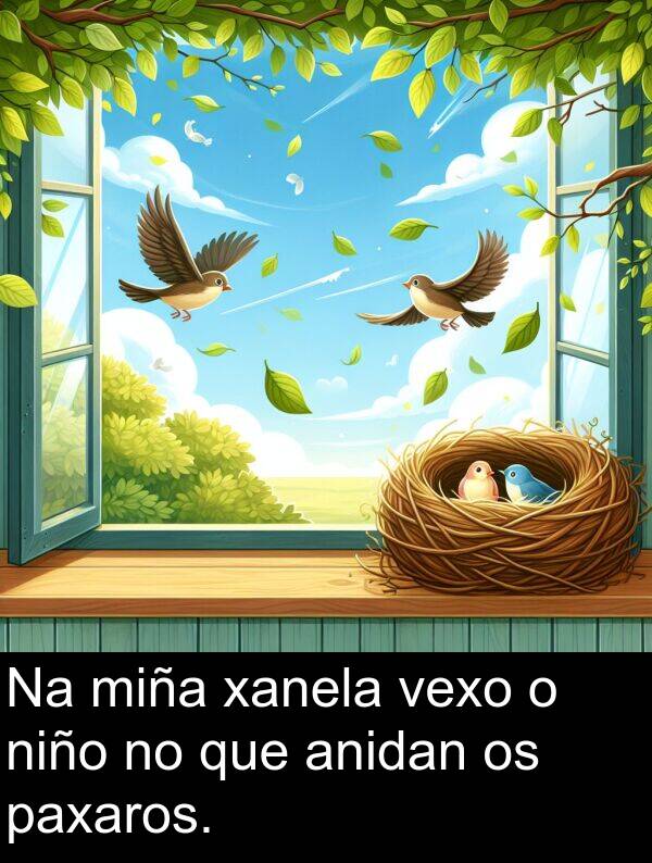xanela: Na miña xanela vexo o niño no que anidan os paxaros.