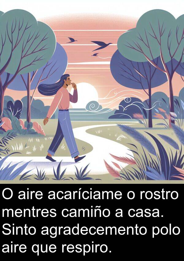 rostro: O aire acaríciame o rostro mentres camiño a casa. Sinto agradecemento polo aire que respiro.