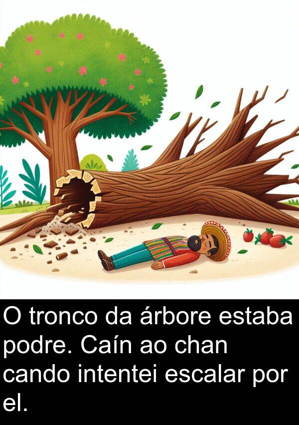 el: O tronco da árbore estaba podre. Caín ao chan cando intentei escalar por el.