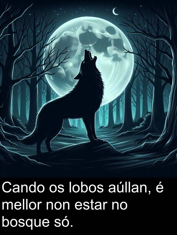 estar: Cando os lobos aúllan, é mellor non estar no bosque só.