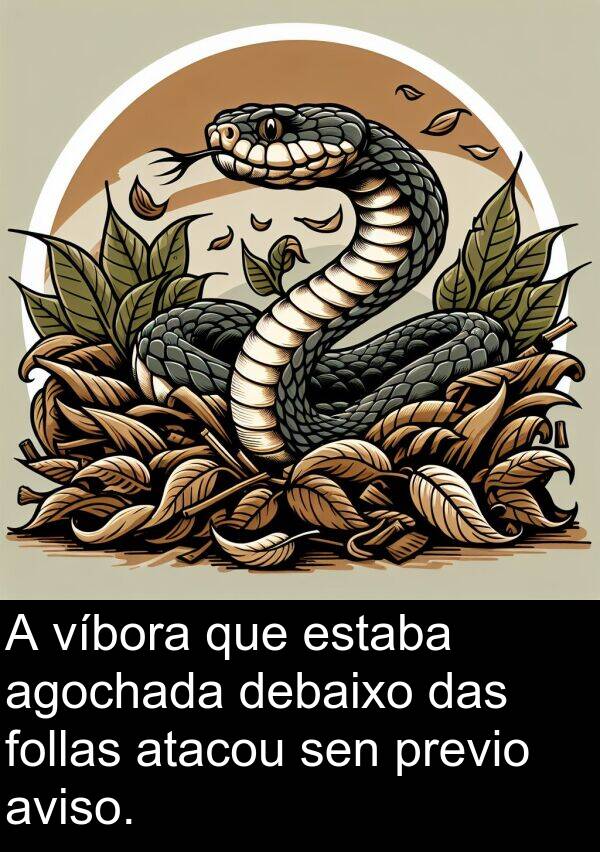 previo: A víbora que estaba agochada debaixo das follas atacou sen previo aviso.