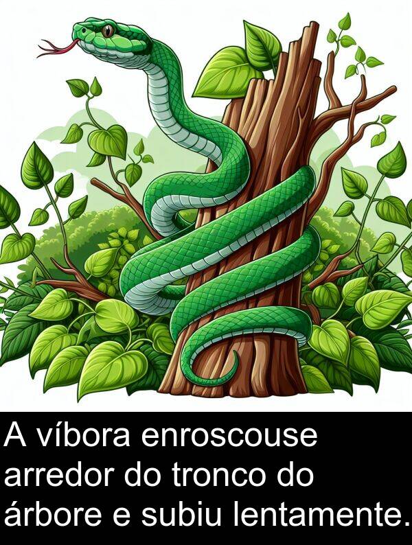 arredor: A víbora enroscouse arredor do tronco do árbore e subiu lentamente.