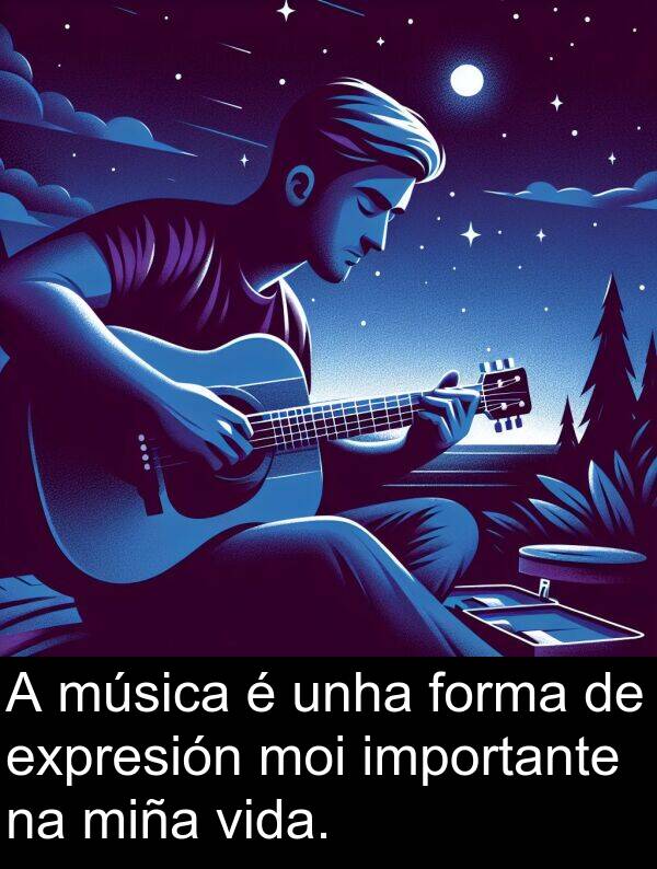 forma: A música é unha forma de expresión moi importante na miña vida.