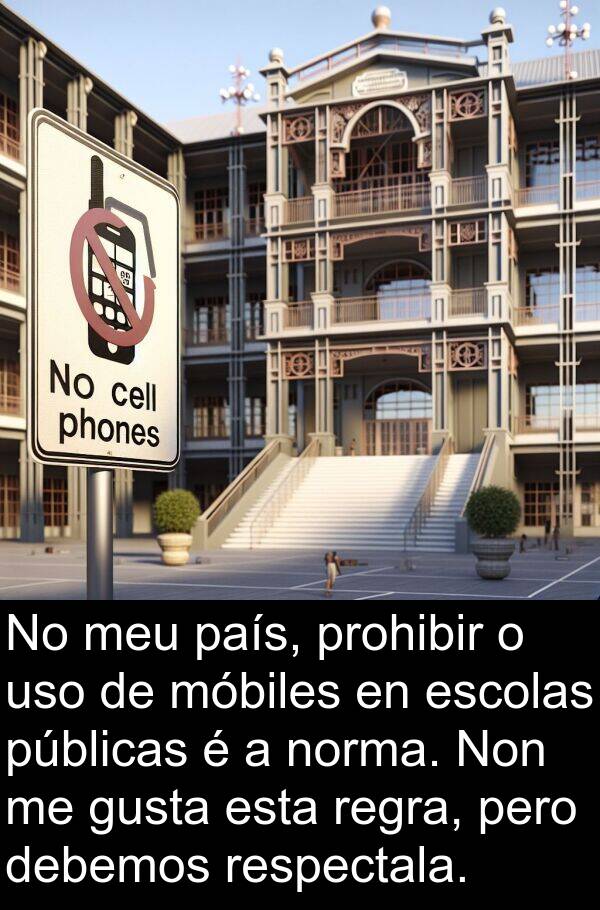 regra: No meu país, prohibir o uso de móbiles en escolas públicas é a norma. Non me gusta esta regra, pero debemos respectala.
