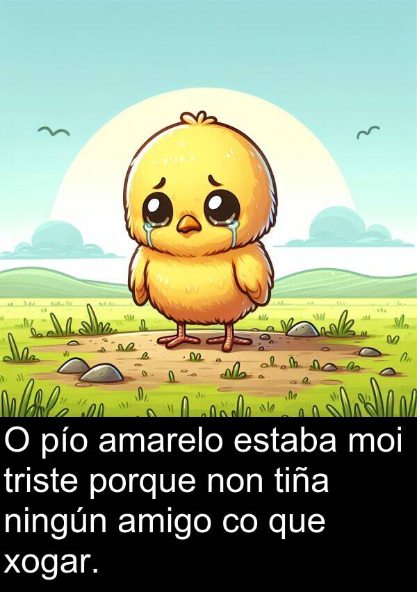 tiña: O pío amarelo estaba moi triste porque non tiña ningún amigo co que xogar.