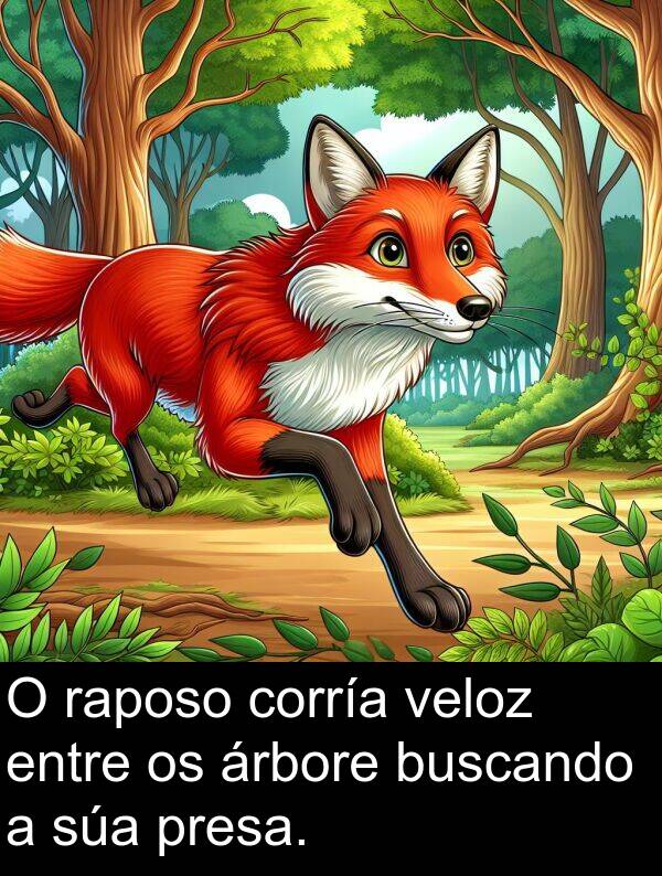 raposo: O raposo corría veloz entre os árbore buscando a súa presa.