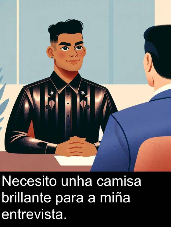 entrevista: Necesito unha camisa brillante para a miña entrevista.