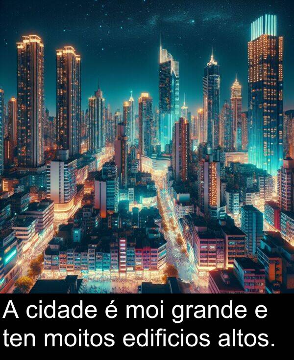 grande: A cidade é moi grande e ten moitos edificios altos.