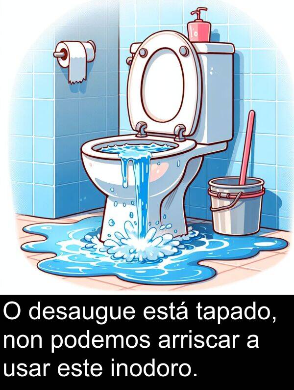 arriscar: O desaugue está tapado, non podemos arriscar a usar este inodoro.