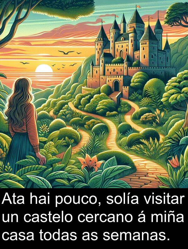 cercano: Ata hai pouco, solía visitar un castelo cercano á miña casa todas as semanas.