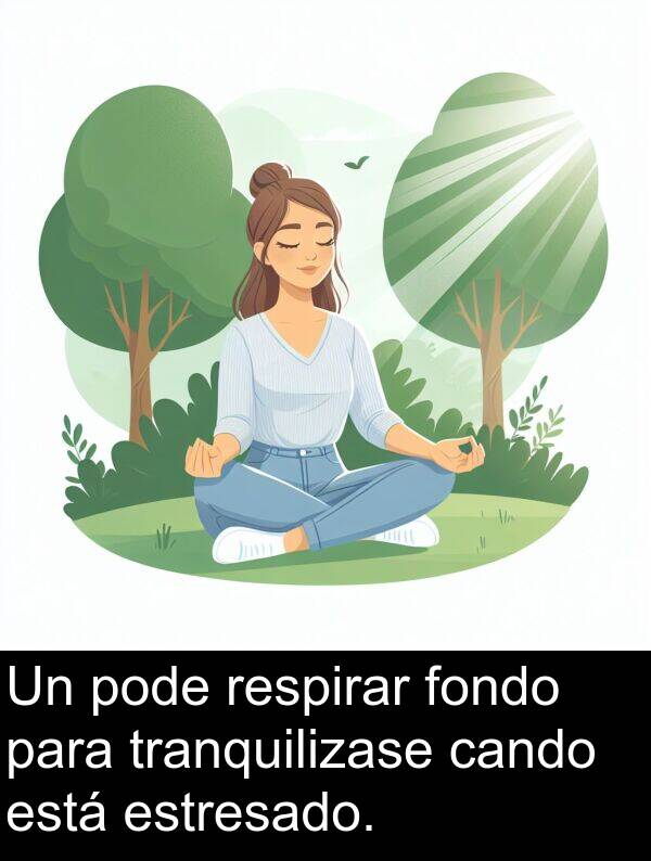 tranquilizase: Un pode respirar fondo para tranquilizase cando está estresado.