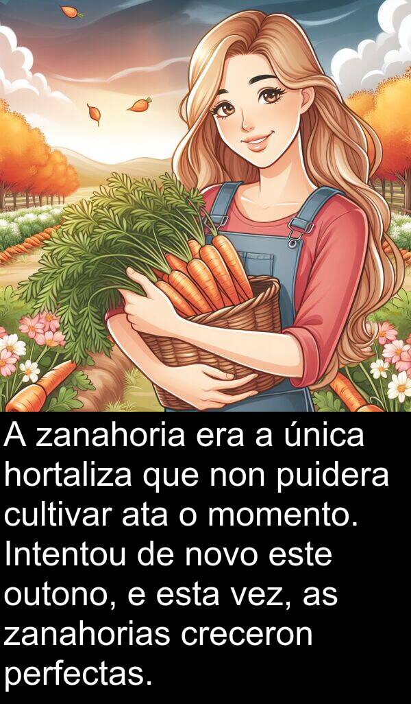 momento: A zanahoria era a única hortaliza que non puidera cultivar ata o momento. Intentou de novo este outono, e esta vez, as zanahorias creceron perfectas.