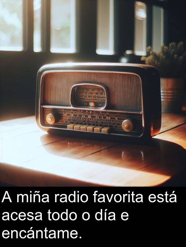 radio: A miña radio favorita está acesa todo o día e encántame.