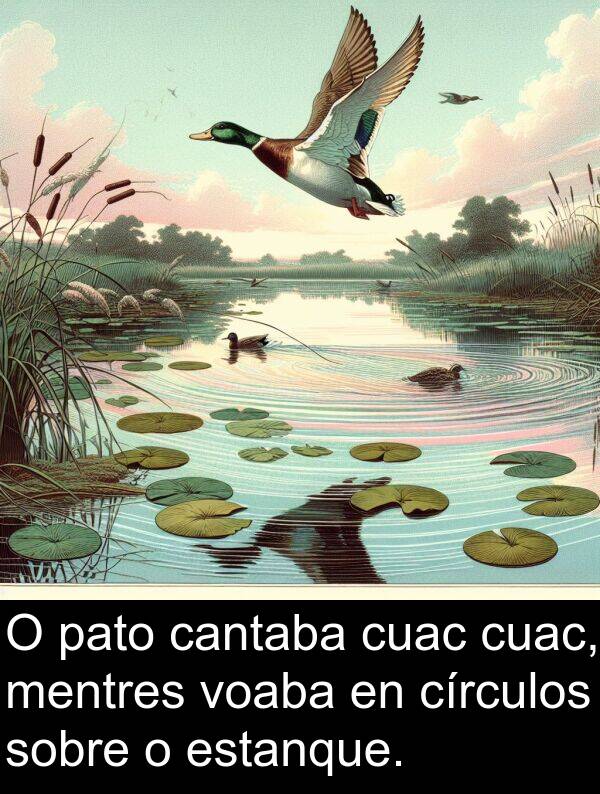 estanque: O pato cantaba cuac cuac, mentres voaba en círculos sobre o estanque.